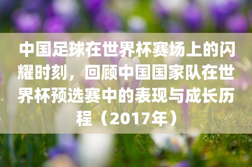 中国足球在世界杯赛场上的闪耀时刻，回顾中国国家队在世界杯预选赛中的表现与成长历程（2017年）