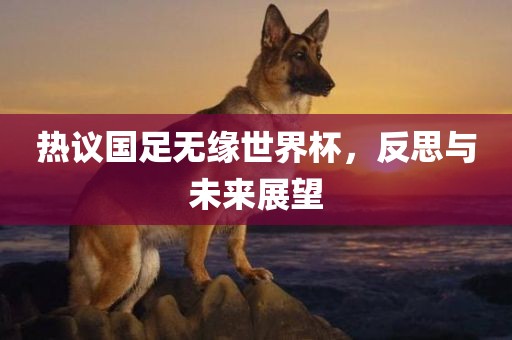 热议国足无缘世界杯，反思与未来展望漯河市盈旭机械设备有限公司