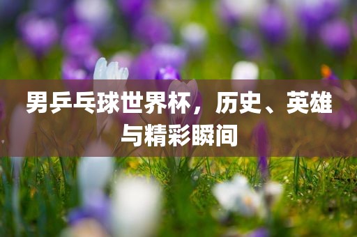 chenyuru 第4页