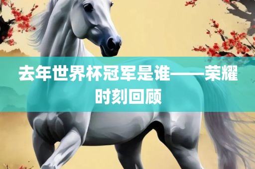 去年世界杯冠军是谁——荣耀时刻回顾漯河市盈旭机械设备有限公司