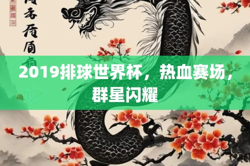 2019排球世界杯，热血赛场，群星闪耀