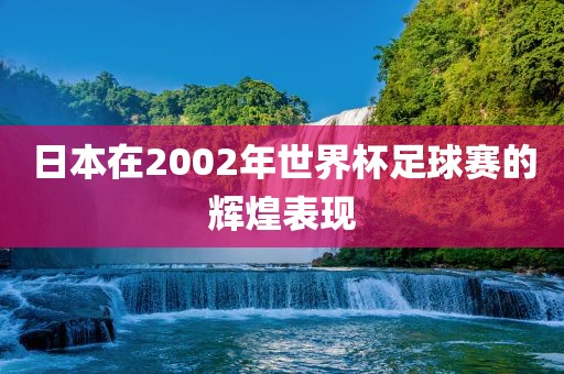 日本在2002年世界杯足球赛的辉煌表现