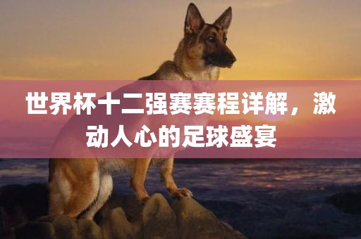 世界杯十二强赛赛程详解，激动人心的足球盛宴漯河市盈旭机械设备有限公司