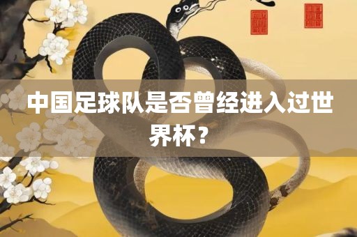 中国足球队是否曾经进入过世界杯？
