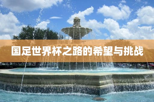 国足世界杯之路的希望与挑战