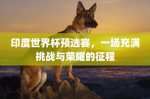 印度世界杯预选赛，一场充满挑战与荣耀的征程