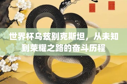 世界杯乌兹别克斯坦，从未知到荣耀之路的奋斗历程