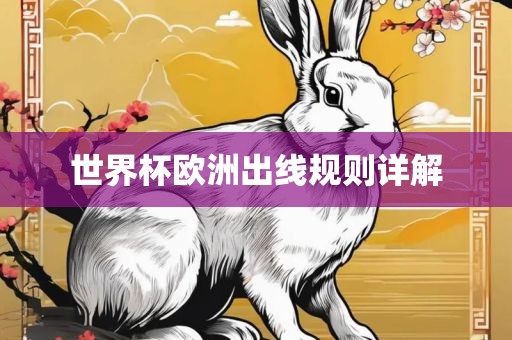 世界杯欧洲出线规则详解