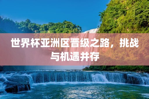 世界杯亚洲区晋级之路，挑战与机遇并存