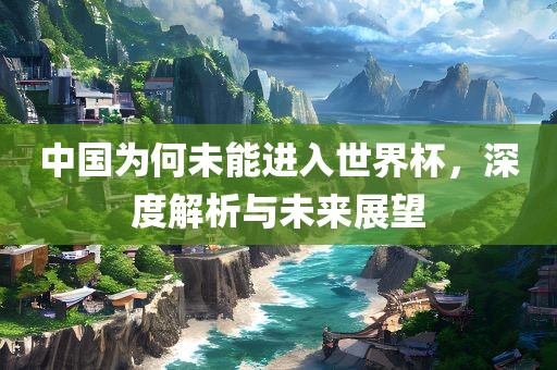 中国为何未能进入世界杯，深度解析与未来展望漯河市盈旭机械设备有限公司