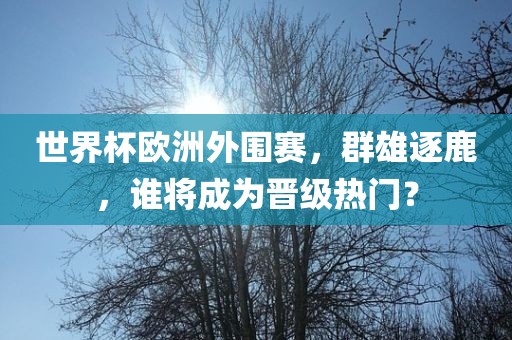 世界杯欧洲外围赛，群雄逐鹿，谁将成为晋级热门？