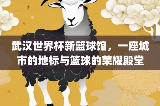 武汉世界杯新篮球馆，一座城市的地标与篮球的荣耀殿堂