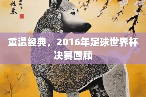 重温经典，2016年足球世界杯决赛回顾