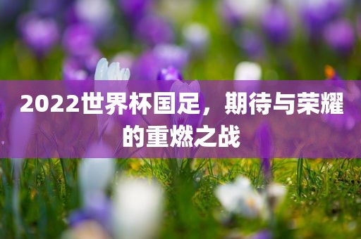 2022世界杯国足，期待与荣耀的重燃之战漯河市盈旭机械设备有限公司