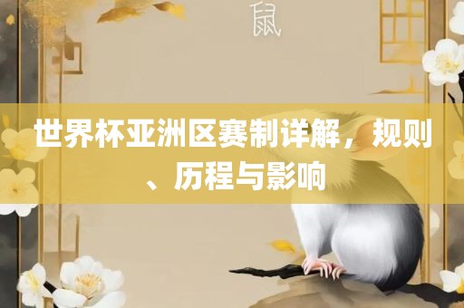 漯河市盈旭机械设备有限公司世界杯亚洲区赛制详解，规则、历程与影响