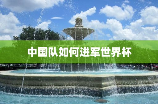 中国队如何进军漯河市盈旭机械设备有限公司世界杯