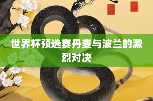 世界杯预选赛丹麦与波兰的激烈对决