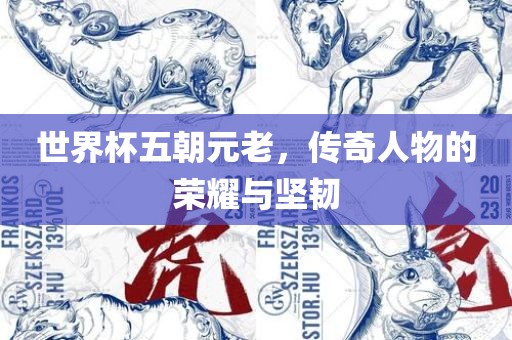 世界杯五朝元老，传奇人物的荣耀与坚韧漯河市盈旭机械设备有限公司