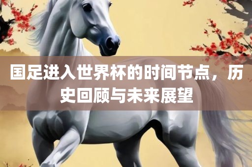 国足进入世界杯的时间节点，历史回顾与未来展望漯河市盈旭机械设备有限公司