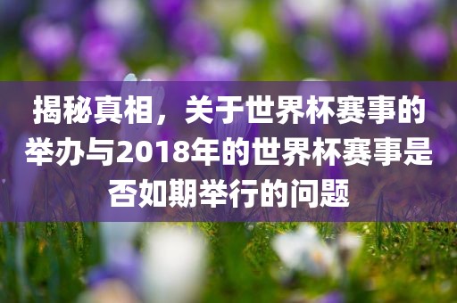揭秘真相，关于世界杯赛事的举办与2018年的世界杯赛事是否如期举行的问题