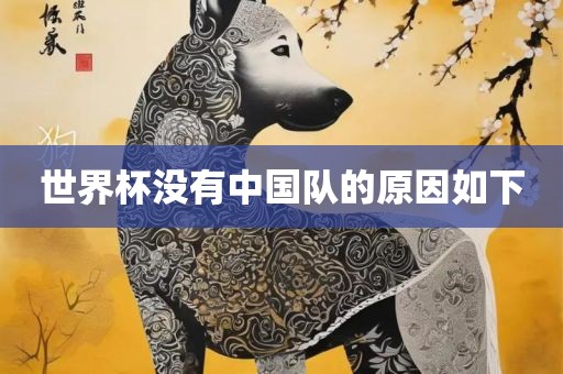世界杯没有中国队的原因如下漯河市盈旭机械设备有限公司