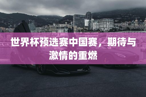 世界杯预选赛中国赛，期待与激情的重燃漯河市盈旭机械设备有限公司