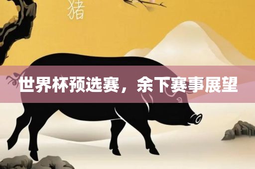 世界杯预选赛，余下赛事展望漯河市盈旭机械设备有限公司