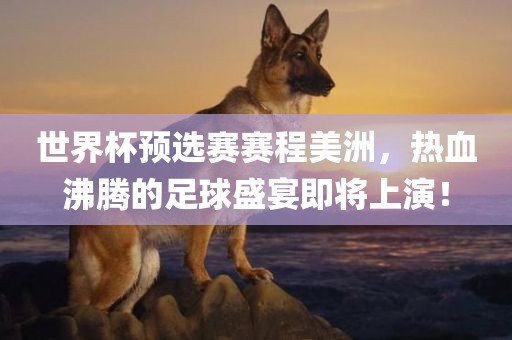 世界杯预选赛赛程美洲，热血沸腾的足球盛宴即将上演！