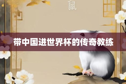 带中国进世界杯的传奇教练