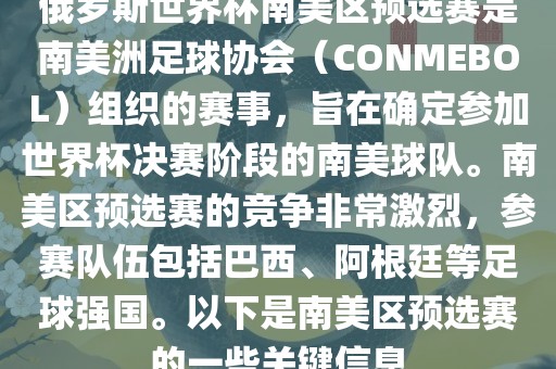 南美洲足球协会（CONMEBOL）