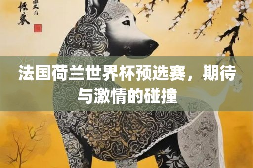 法国荷兰世界杯预选赛，期待与激情的碰撞