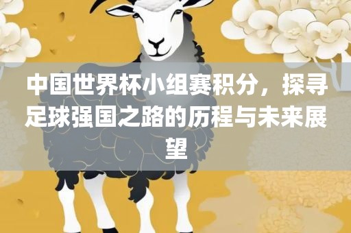 漯河市盈旭机械设备有限公司中国世界杯小组赛积分，探寻足球强国之路的历程与未来展望