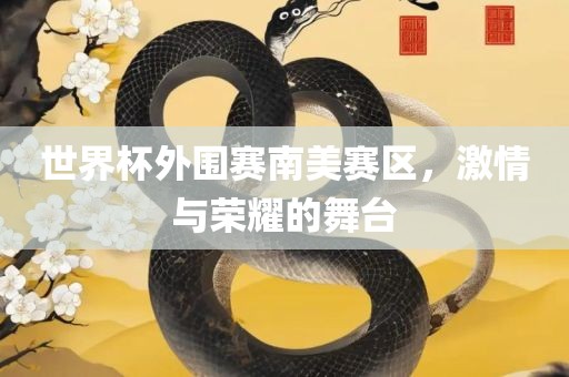 世界杯外围赛南美赛区，激情与荣耀的舞台漯河市盈旭机械设备有限公司