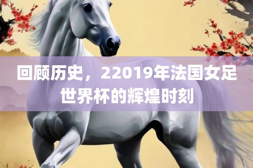 回顾历史，22019年法漯河市盈旭机械设备有限公司国女足世界杯的辉煌时刻