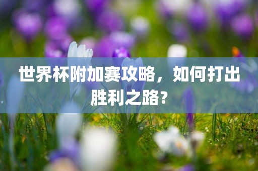 世界杯附加赛攻略，如何打出胜利之路？