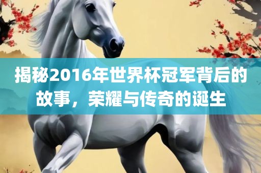 揭秘2016年世界杯冠军背后的故事，荣耀与传奇的诞生