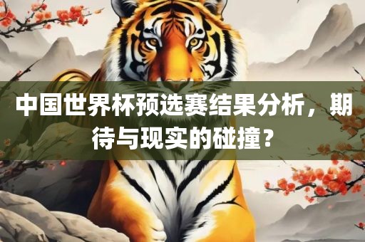 中国世界杯预选赛结果分析，期待与现实的碰撞？