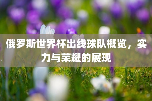 俄罗斯世界杯出线球队概览，实力与荣耀的展现