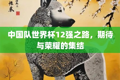 中国队世界杯12强之路，期待与荣耀的集结