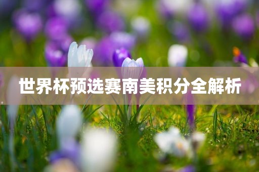 世界杯预选赛南美积分全解析漯河市盈旭机械设备有限公司