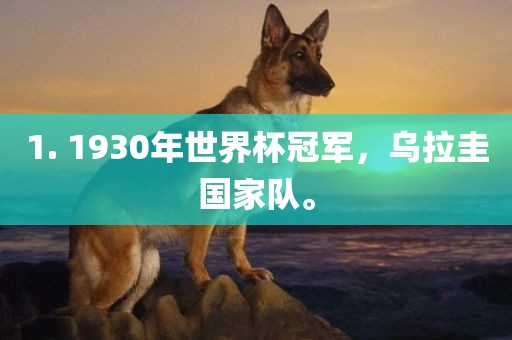1. 1930年世界杯冠军，乌拉圭国家队。