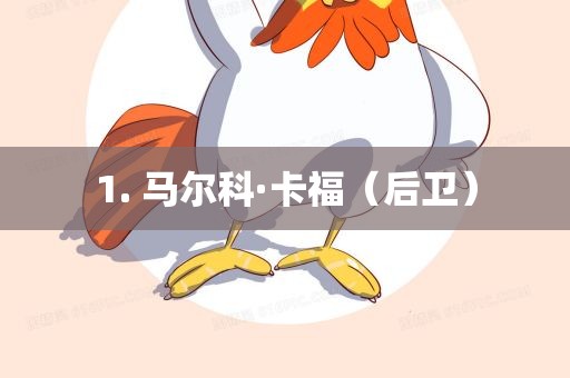 1. 马尔科·卡福（后卫）