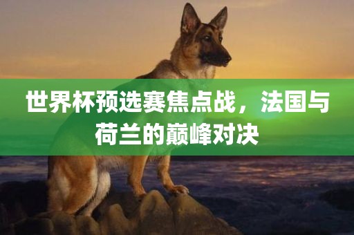 世界杯预选赛焦点战，法国与荷兰的巅峰对决漯河市盈旭机械设备有限公司