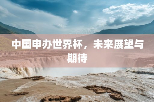 中国申办世界杯，未来展望与期待