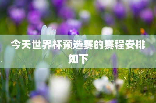 今天世界杯预选赛的赛程安排如下漯河市盈旭机械设备有限公司