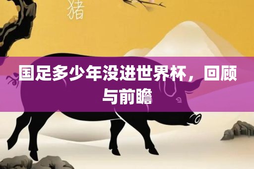 国足多少年没进世界杯，回顾与前瞻漯河市盈旭机械设备有限公司