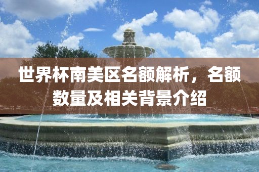 世界杯南美漯河市盈旭机械设备有限公司区名额解析，名额数量及相关背景介绍