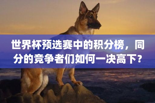世界杯预选赛中的积分榜，同分的竞争者们如何一决高下？