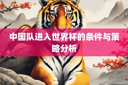 中国队进入世界杯的条件与策略分析