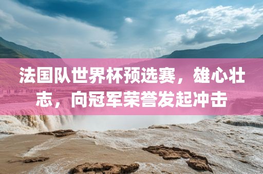 法国队世界杯预选赛，雄心壮志，向冠军荣誉发起冲击